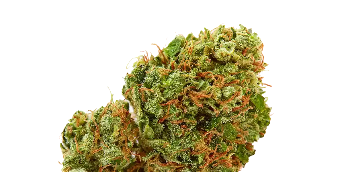 Sunburn Cannabis Flower